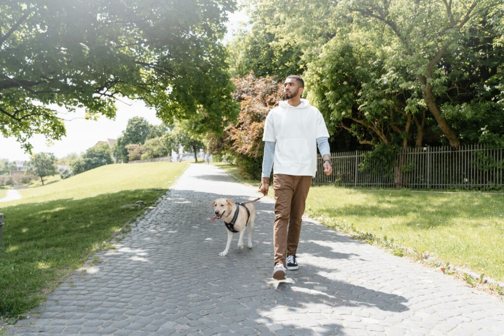 walking outdoors with a dog for fresh air and mental reset